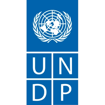 undp_internship